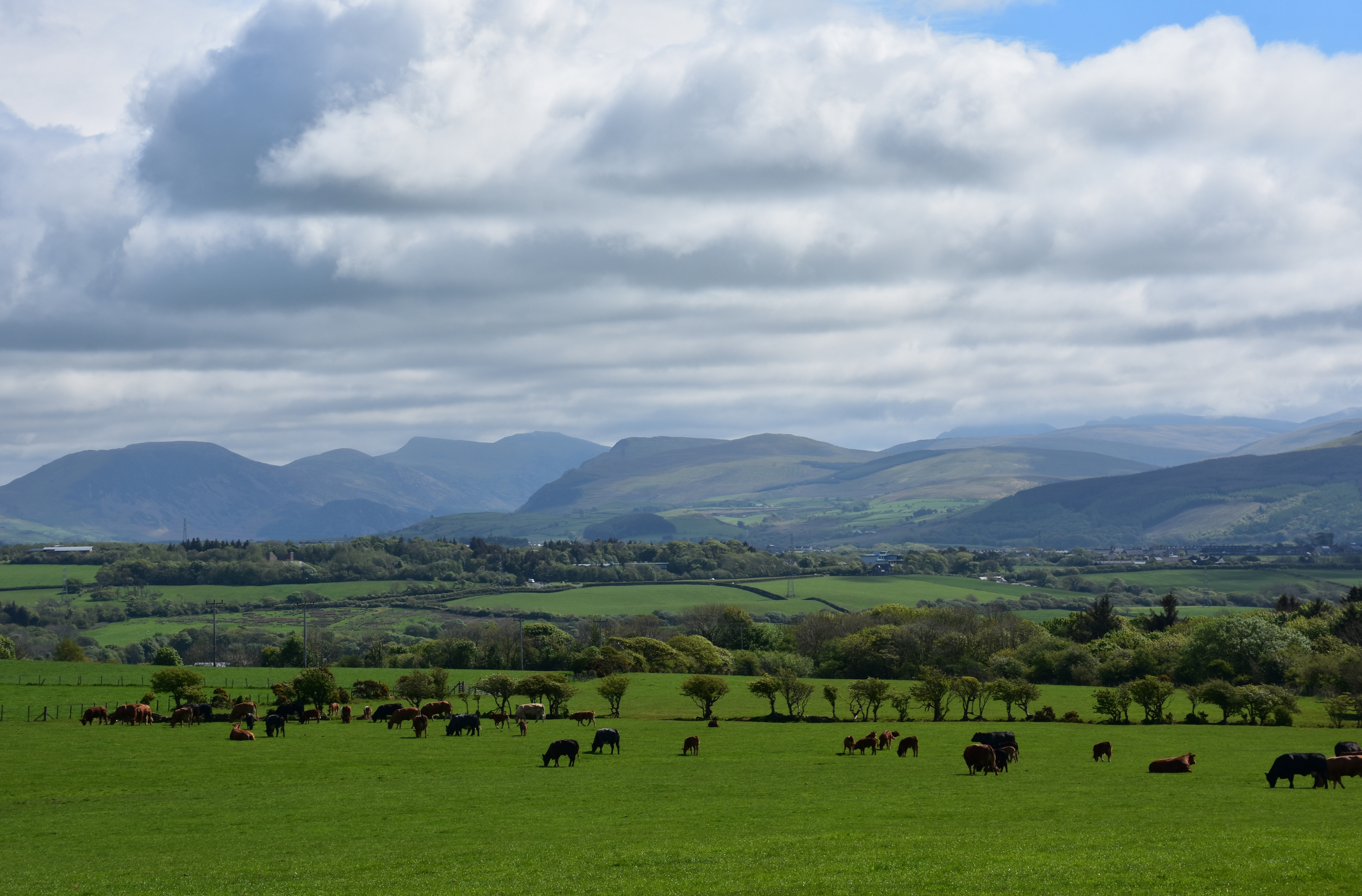 Tanzanian rural landscape at golden hour